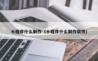 海盐小程序什么制作（小程序什么制作软件）