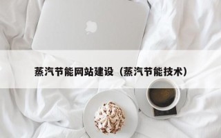 海盐蒸汽节能网站建设（蒸汽节能技术）